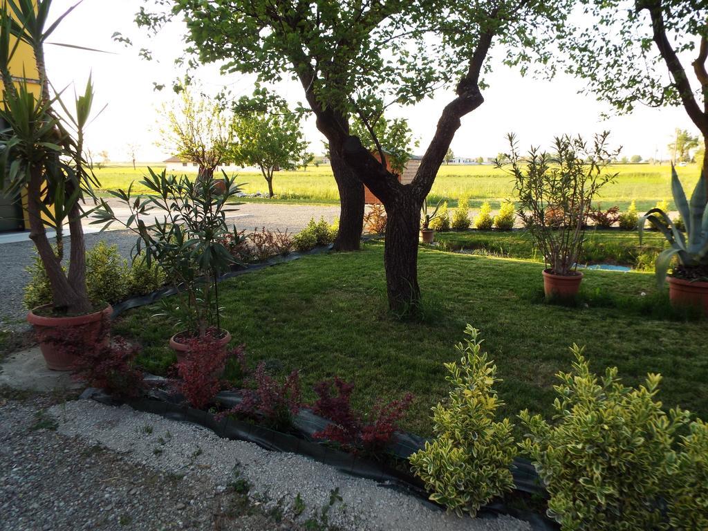 B&B Il Portico Praticello di Gattatico Exterior photo